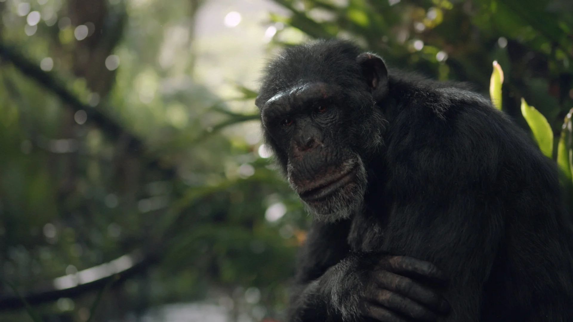 Sky — Come With Us